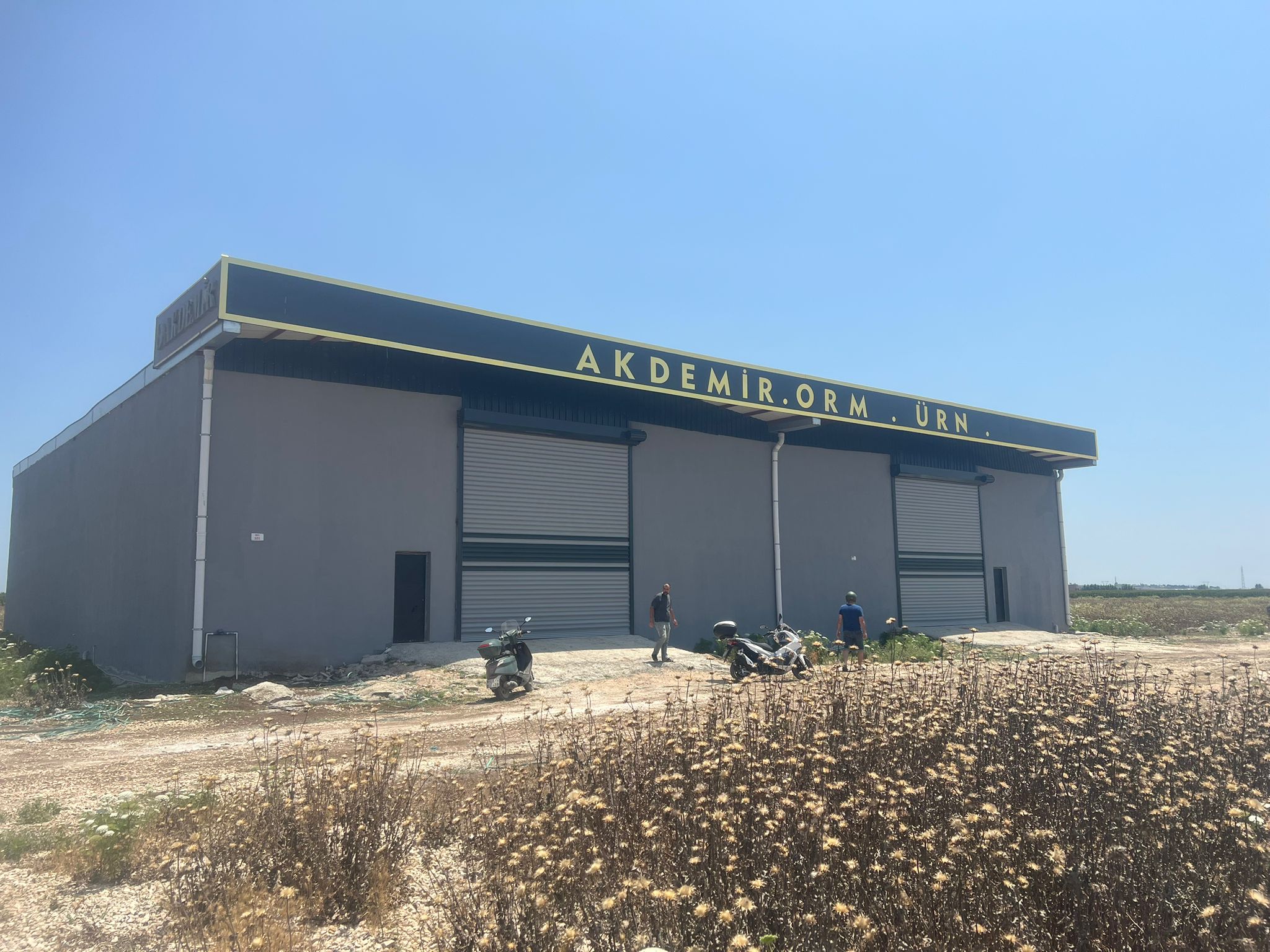 Modern yeşil koltuk